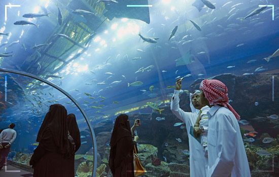 Places in Dubai: Dubai-Aquarium