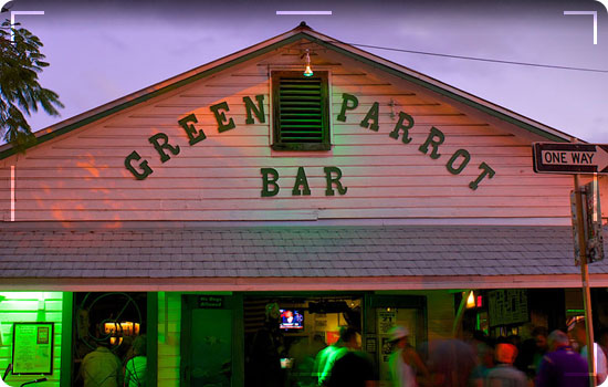 Green-Parrot-Bar