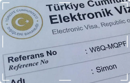 Does Turkey E VISA have any other information