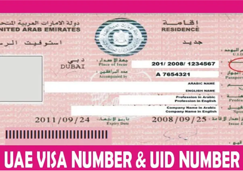 Complete UAE Visa Guide For Pakistani 2022