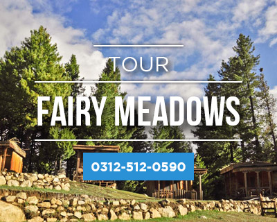 Fairy Meadows Tour Packages by pakistan tour and travel with amazing amazing prices