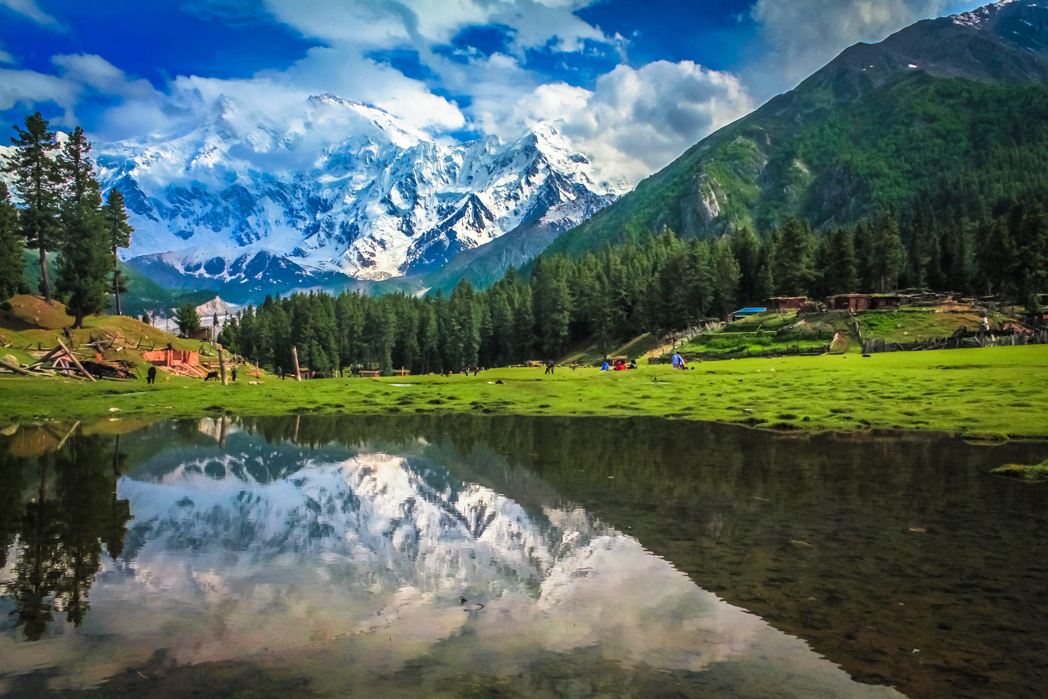 fairymeadows