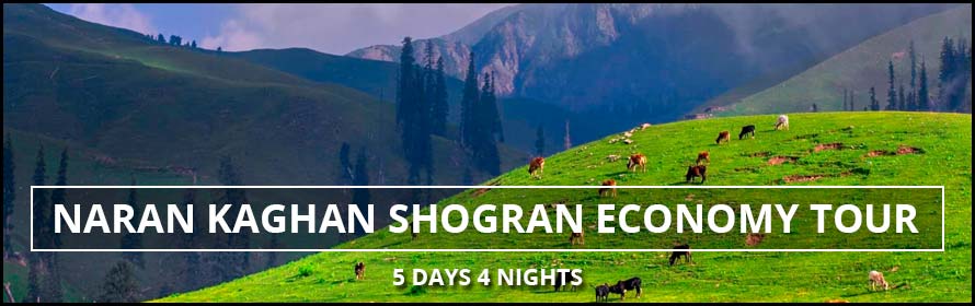 Naran Kaghan Shogran Economy Tour 5Days 4Nights Packages with Prices