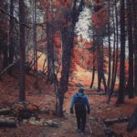 Fairymeadows Autumn 2016 tours