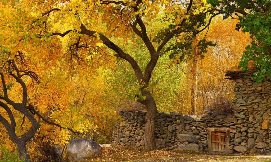 hunza-autumn-2016