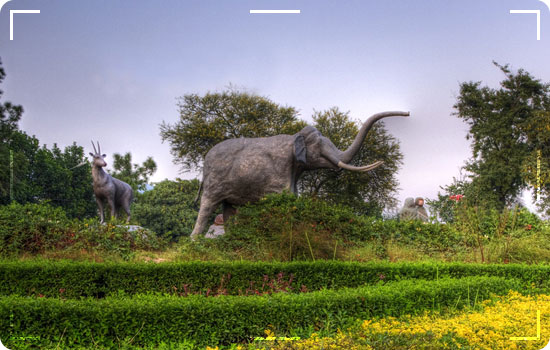 Islamabad-Zoo