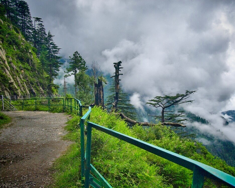 Places To Visit in Murree: Nathiagali