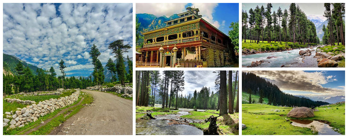 Book Swat Kumrat 7Days Tour Plan - Explore Fascinating Forest with water streams in Kumrat Uppr Dir