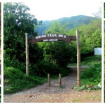 Top Hiking Trails-in-Islamabad-