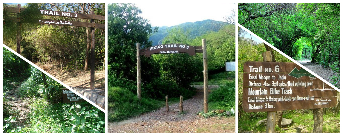 Top-Hiking-Trails-in-Islamabad-