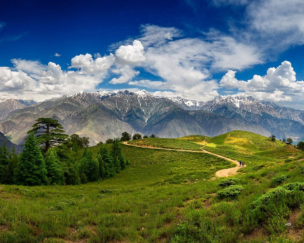 Chitral-Gol-National-Park