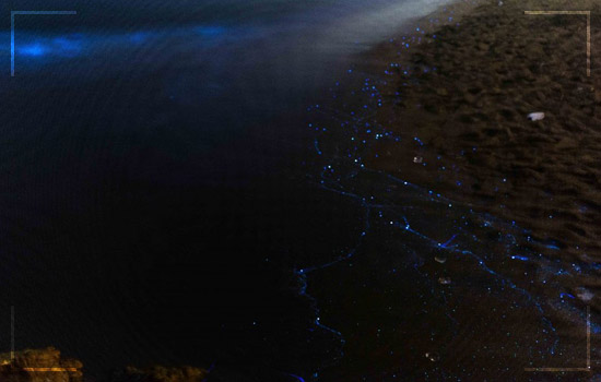 This Bioluminescent Beach in Pakistan Image 2