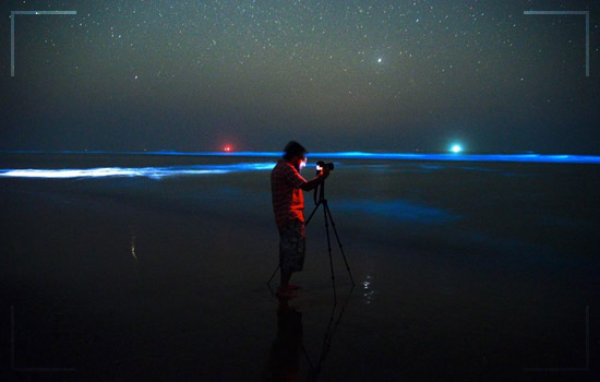 This Bioluminescent Beach in Pakistan Image 3