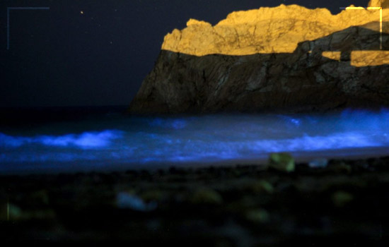 This Bioluminescent Beach in Pakistan Image 4