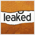 Some-of-the-Travelers-Information-is-Being-Leaked-PTA-Admits
