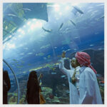 Tourism-in-Dubai-Top-10-Best-Places-to-Visit-in-Dubai