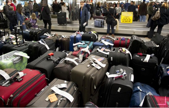 Flight Status and Baggage Allowance