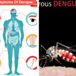 Dengue-Fever;-Protect-Your-Family-With-These-Simple-Precautions
