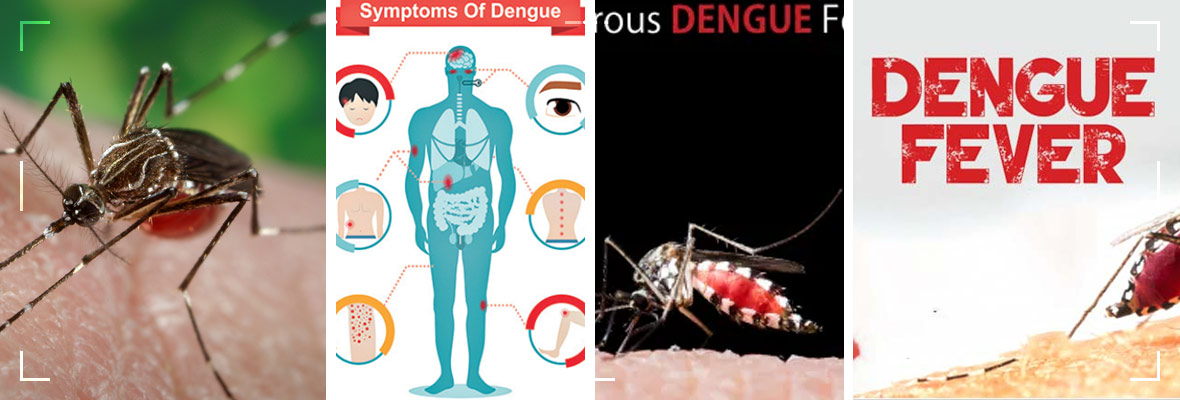 Dengue-Fever;-Protect-Your-Family-With-These-Simple-Precautions