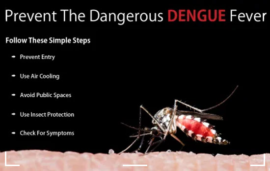 dengue fever prevention