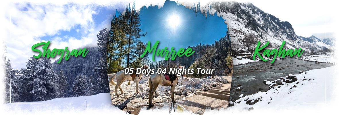 Shogran Murree Tour Packages