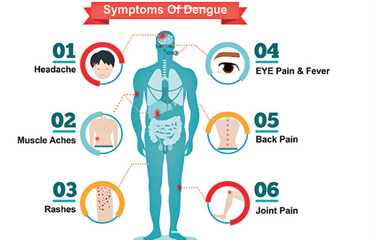 Symptoms Of Dengue