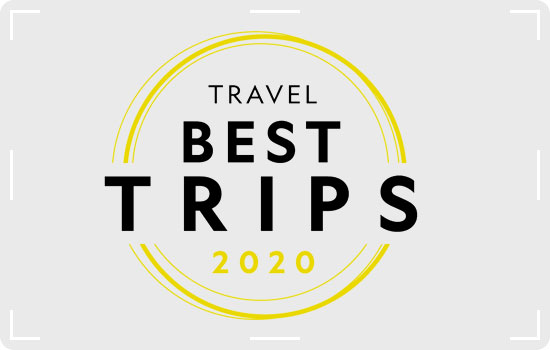 Best Trips Of 2020