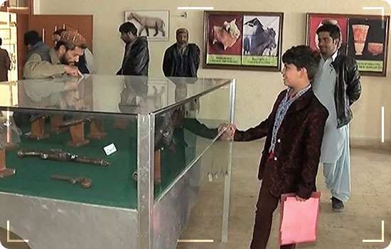 Places To Visit In Quetta Pakistan: Quetta Museum