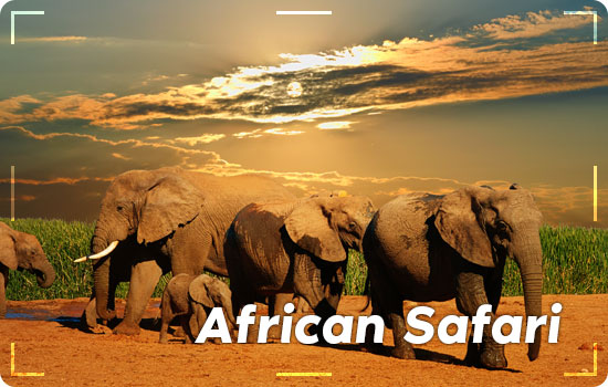 Ten Wish List Destinations: African Safari
