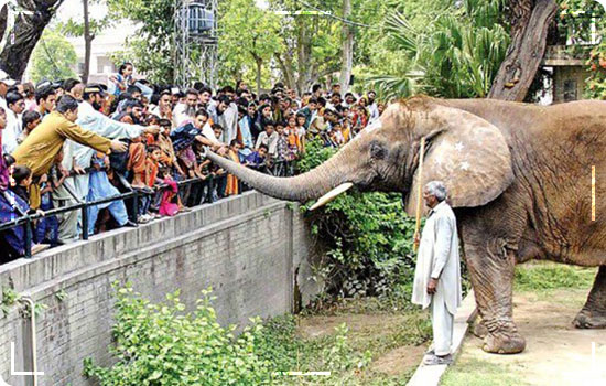 Places Of Lahore: Lahore Zoo