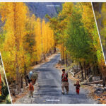 7 Fascinating Places To Visit During An Autumn