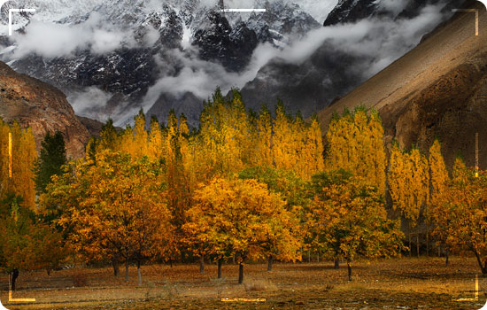 Book your Hunza Valley Honeymoon Tour Package Now: