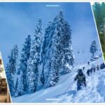How Are PC Malam Jabba Activities Attracting Tourist In Swat?
