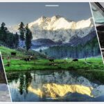 New Cars For Tour to Northern Pakistan