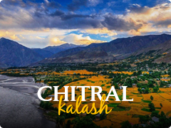 Chitral-Kalash