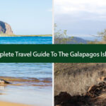 Complete Travel Guide To The Galapagos Islands