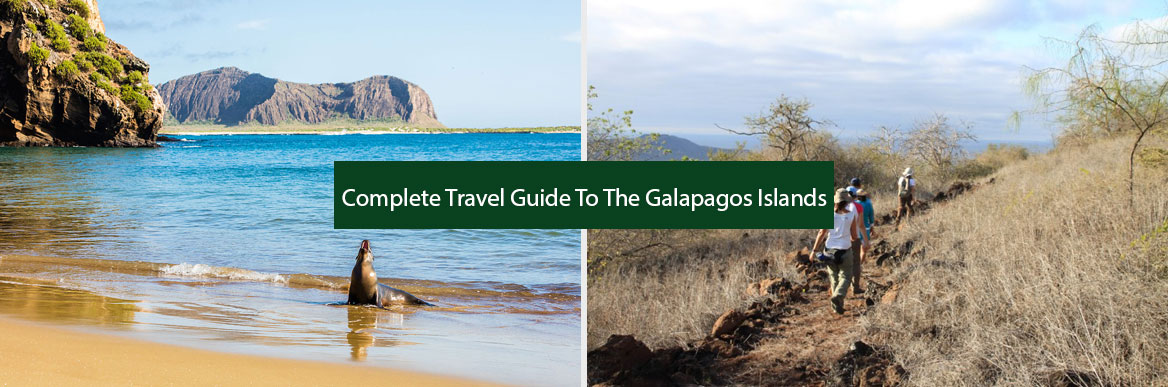 Complete Travel Guide To The Galapagos Islands