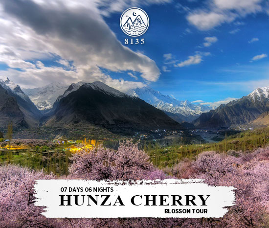 Cherry Blossom Tours in Hunza 2022