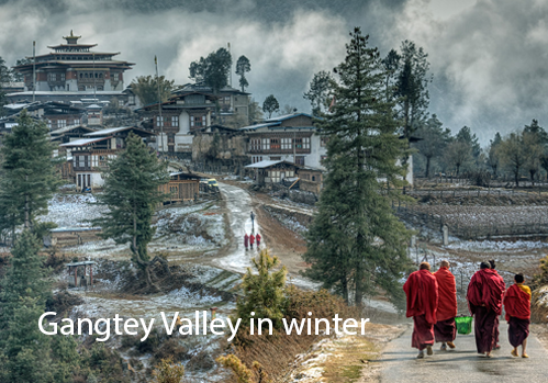 Top Places To Visit In Bhutan; Bhutan Tourist Places 2022