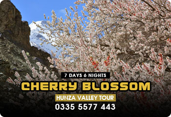 Hunza Cherry Blossom 7days tour