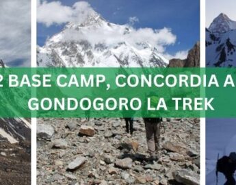 K2 BASE CAMP TOUR, CONCORDIA AND GONDOGORO LA TREK TOUR