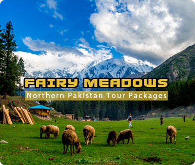 Northern Pakistan Tour Package: Fairy Meadows Tour Packages