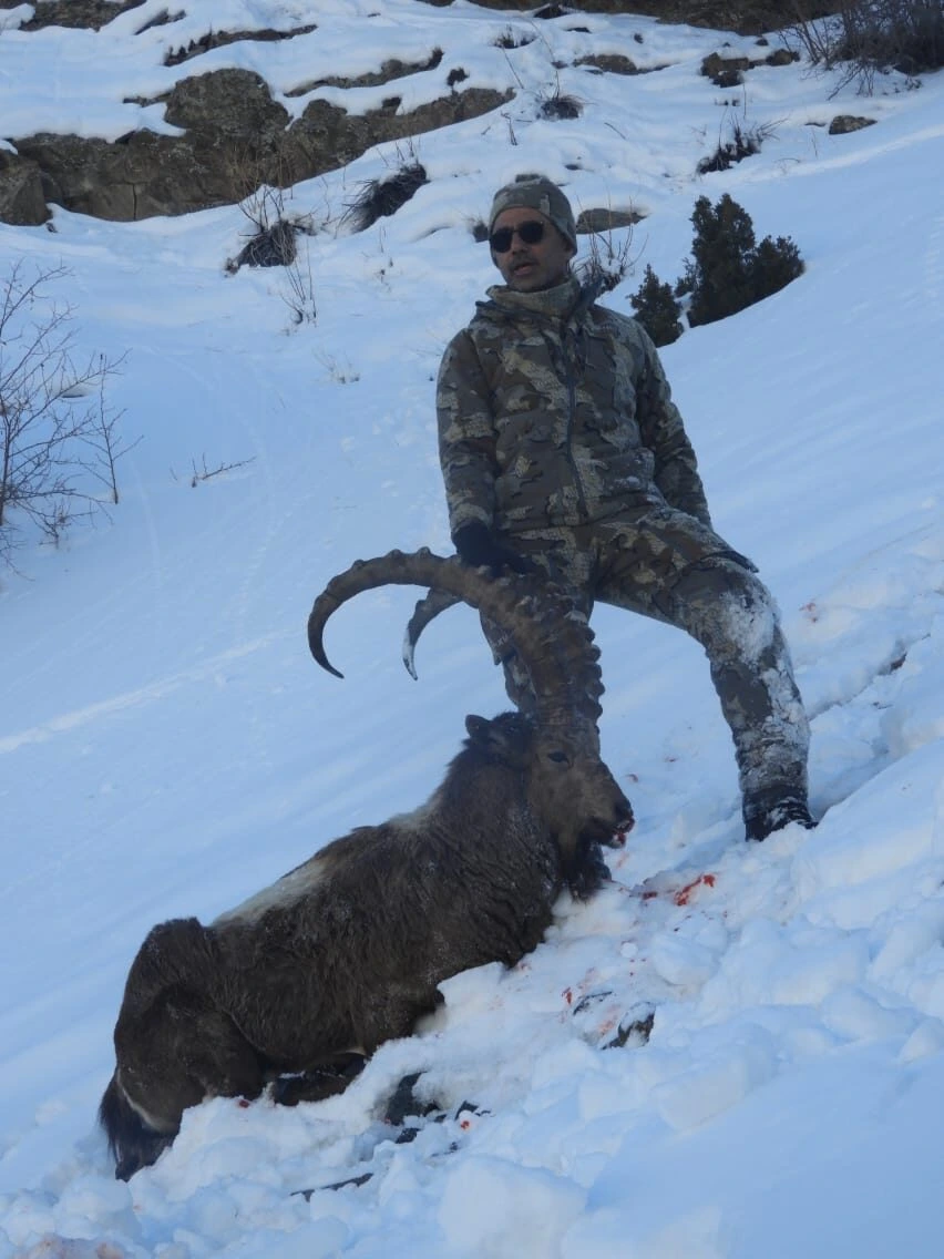Hunting a himalayan ibex after 18km hike in snow filled batura was not easy but we were able to do with help of our team and specially javed.