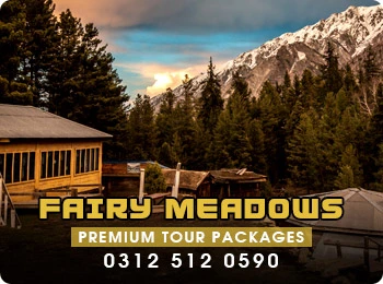 Fairy-Meadows-Tour