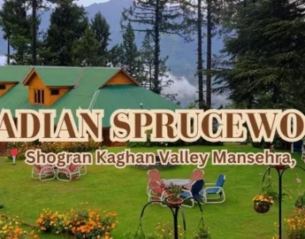 Arcadian Sprucewoods Shogran; Kaghan Valley; Best Hotel in Naran Kaghan