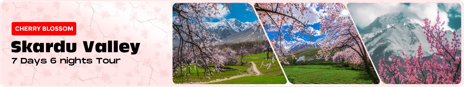 Cherry blossom Skardu tour by road from Islamabad and Lahore
