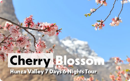 Hunza-Cherry-Blossom-7-Days-Tour