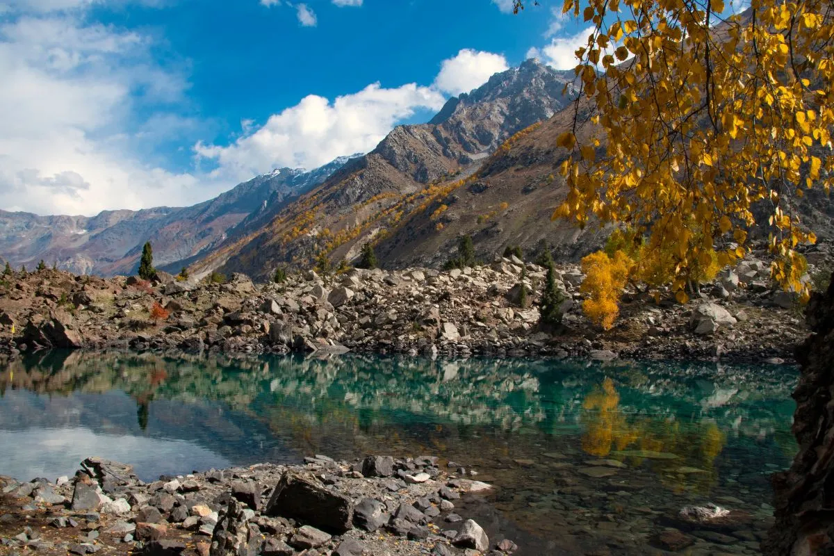 Naltar Valley - Places To Visit In Naltar Vallley : Pakistan Tour n Travel