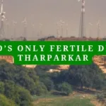 Tharparkar Pakistan: World's Only Fertile Desert - Pakistan Tour n Travel