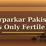 Tharparkar Pakistan fertile desert landscape with sand dunes, camel silhouettes, village huts, greenery, sunset, and centered blog title text.